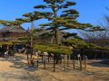 Matsuyama Castle (Japan)