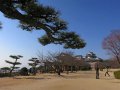 Matsuyama Castle (Japan)