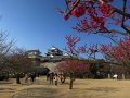 Matsuyama Castle (Japan)