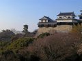 Matsuyama Castle (Japan)