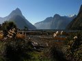 Milford Sound (Neuseeland)