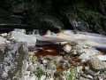 Fluss bei Karamea im Kahurangi Nationalpark