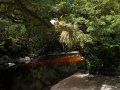 Fluss bei Karamea im Kahurangi Nationalpark