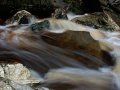 Bach bei Karamea im Kahurangi Nationalpark