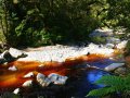 Bach bei Karamea im Kahurangi Nationalpark