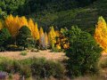 Landschaft am Waiau Fluss (Neuseeland)