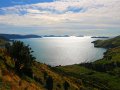 Landschaft am Marlborough Sound (Neuseeland)