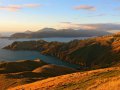 Marlborough Sound bei French Pass (Neuseeland)