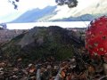 Fliegenpilz am North Mavora Lake (Neuseeland)