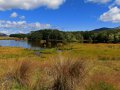 Landschaft bei Te Anau (Neuseeland)