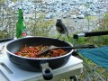 New Zealand Robin (Neuseeland)