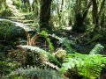 Milford Sound (Neuseeland)