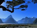 Milford Sound (Neuseeland)