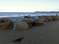 Moeraki Boulders (Neuseeland)