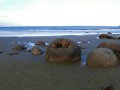 Moeraki Boulders (Neuseeland)