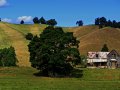 Altes Farmhaus (Neuseeland)