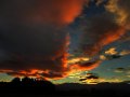 Landschaft  im Abendlicht (Neuseeland)