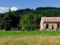 Farm in Neuseeland (Neuseeland)