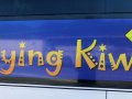Flying Kiwi Bus (Neuseeland)