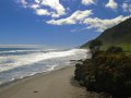 Küstenlandschaft bei Greymouth (Neuseeland)