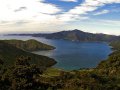 Landschaft am Marlborough Sound (Neuseeland)