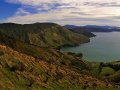 Landschaft am Marlborough Sound (Neuseeland)