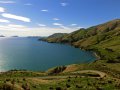 Landschaft am Marlborough Sound (Neuseeland)