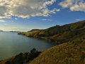 Landschaft am Marlborough Sound (Neuseeland)