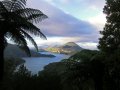 Marlborough Sound bei French Pass (Neuseeland)