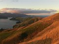 Marlborough Sound bei French Pass (Neuseeland)