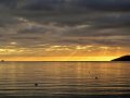 Marlborough Sound bei French Pass (Neuseeland)