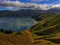 Marlborough Sound bei French Pass (Neuseeland)