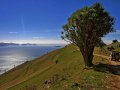 Marlborough Sound bei French Pass (Neuseeland)