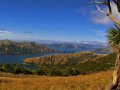 Marlborough Sound bei Bulwer (Neuseeland)