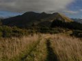 Marlborough Sound bei Bulwer (Neuseeland)