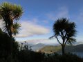 Marlborough Sound bei Bulwer (Neuseeland)