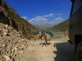 Esel auf dem Pamir Highway