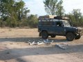 Elefantenknochen und Landrover (Sambia)