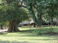 Mukuyu Farm am Zambesi River (Sambia)