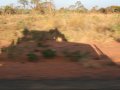Landcruiser Schatten (Sambia)
