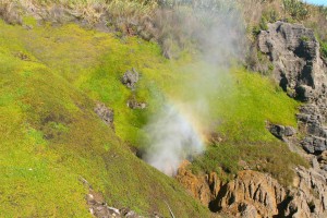 Blowhole (Neuseeland)