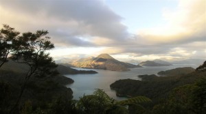 Marlborough Sound (Neuseeland)