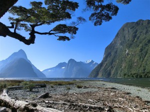 Milford Sound (Neuseeland)