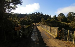 Bridge to Somewhere (Neuseeland)