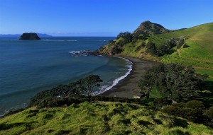 Coromandel Halbinsel (Neuseeland)