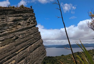 Felsen am Waikaremoana See (Neuseeland)