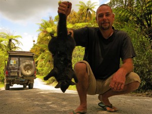 Flachpossum (Neuseeland)