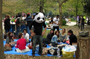 Im Burggarten von Osaka (Japan)