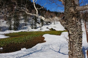 Im Daisetsuzan Nationalpark (Japan)