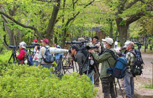 japanische Fotografen (Japan)